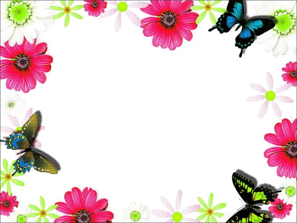 Colorful flower frame border - Photopublicdomain.com