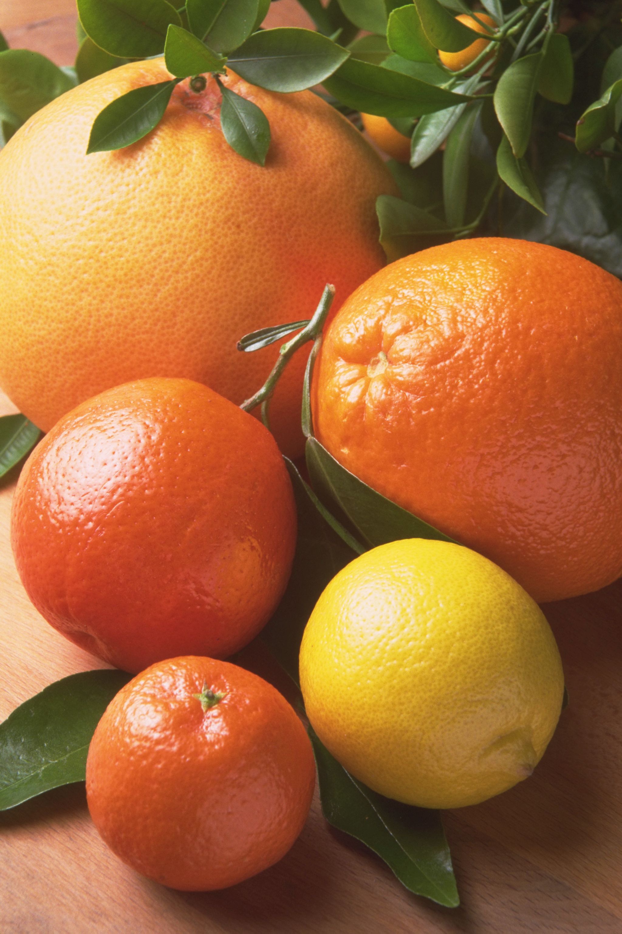 Fresh citrus  fruits orange  yellow Photopublicdomain com