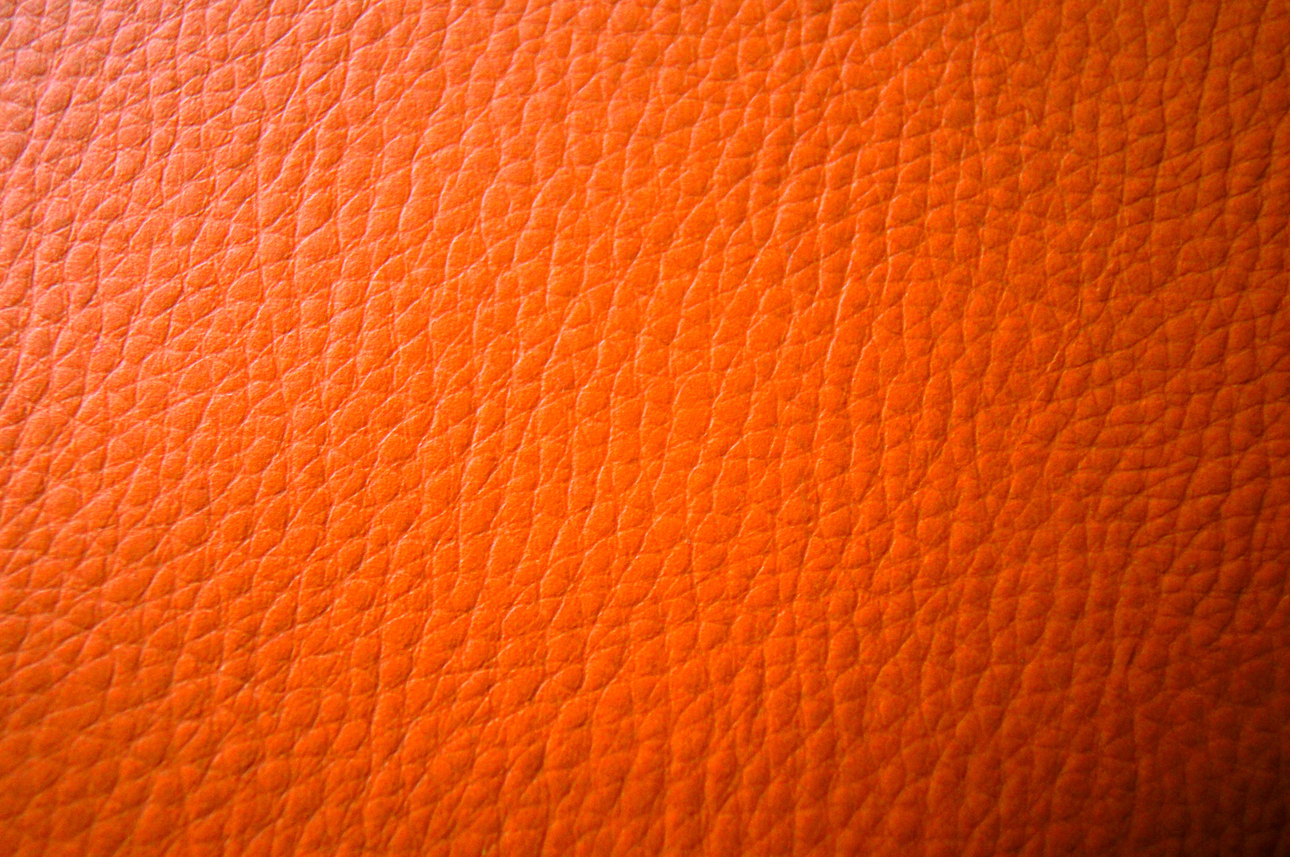 Leather Skin Texture