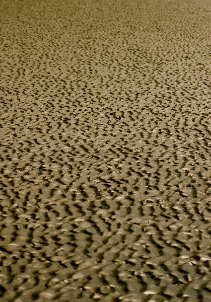 Texture of a sand beach